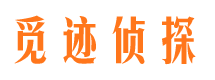 丰城外遇调查取证